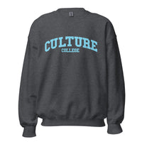 Thumbnail for Culture College